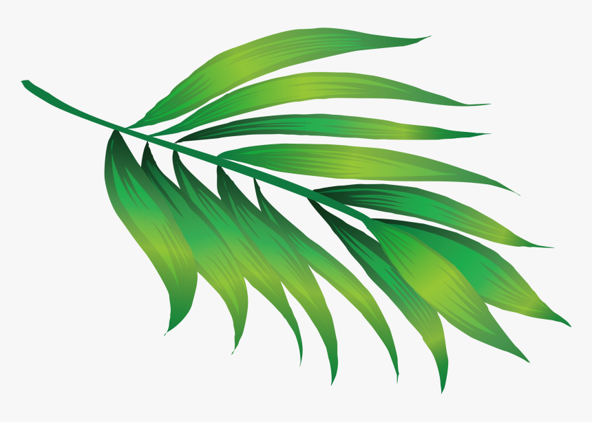 Transparent Green Leaf Icon Png - Plant Png, Png Download