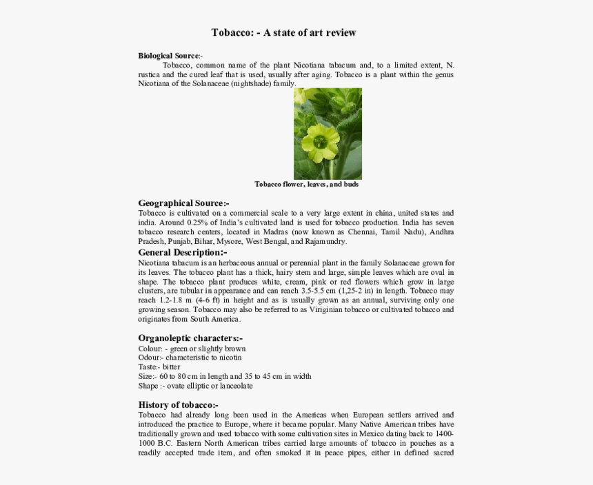 Tobacco Flower, HD Png Download