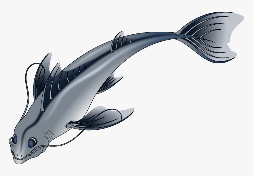 Pescado - Transparent Background Fish Swimming Png, Png Download
