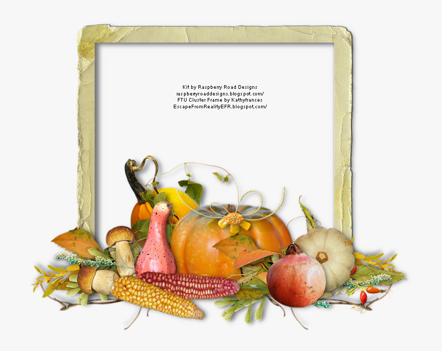 Escape From Reality Blog - Natural Foods, HD Png Download