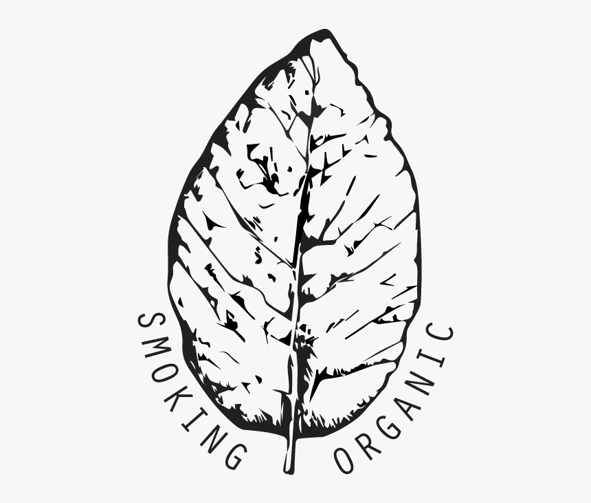 Smoking Organic - Illustration, HD Png Download