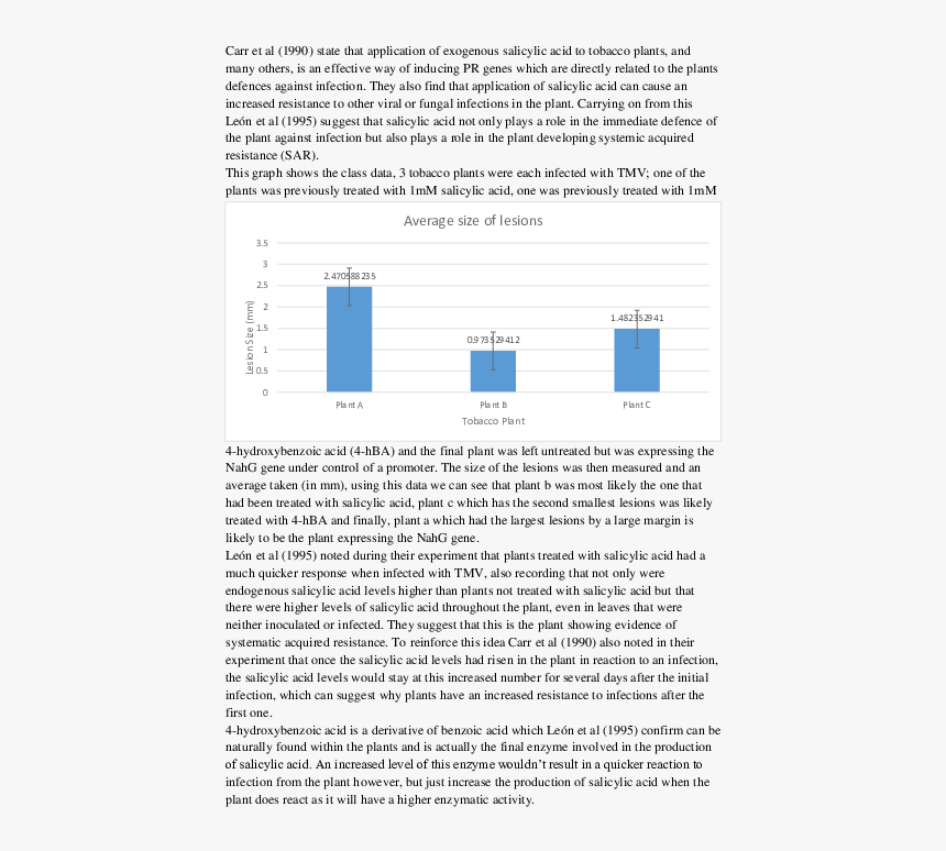 Text Page - Holy Land - The Necropolis, HD Png Download