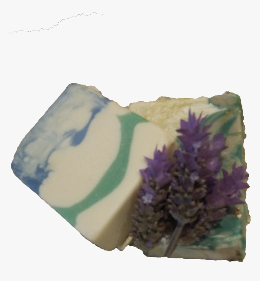 Still Life, HD Png Download