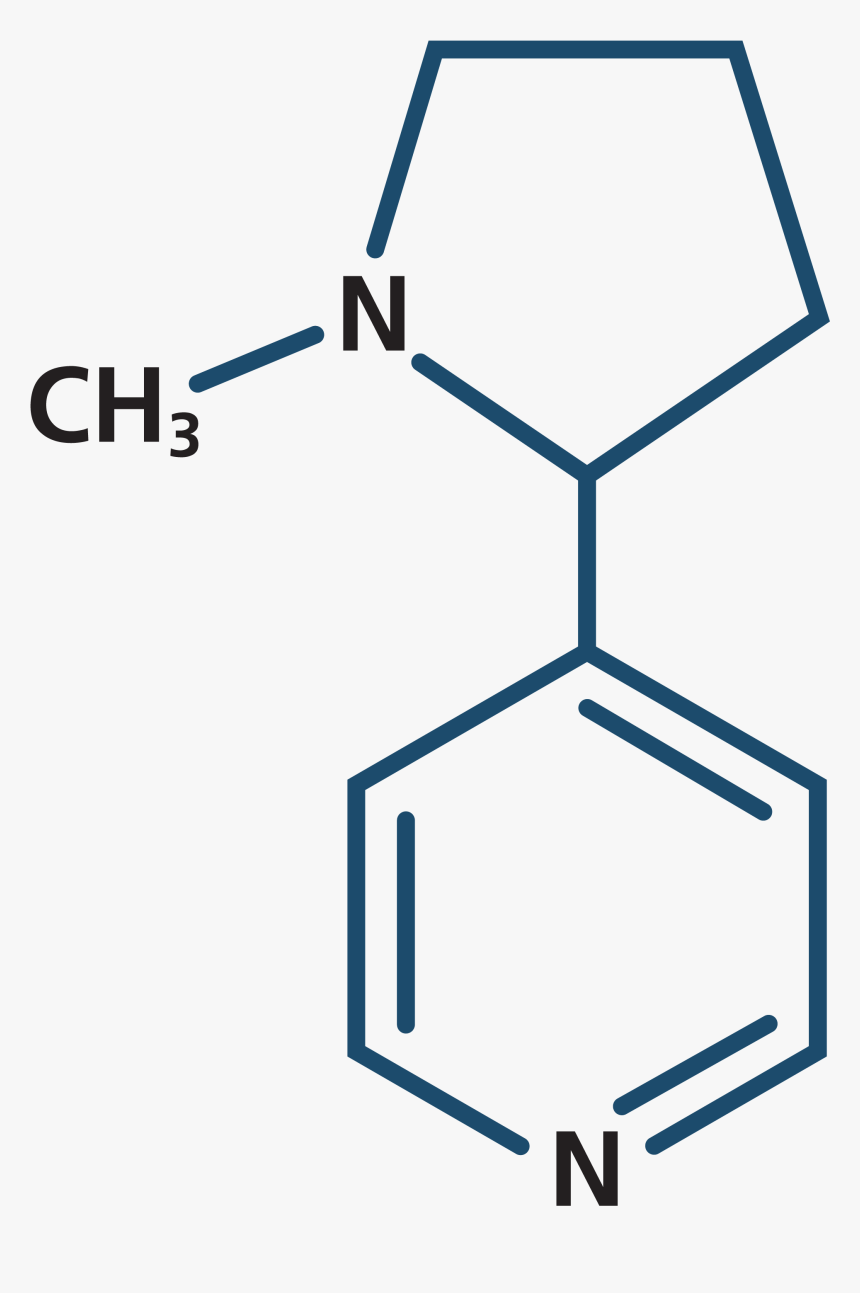 P Toluic Acid, HD Png Download