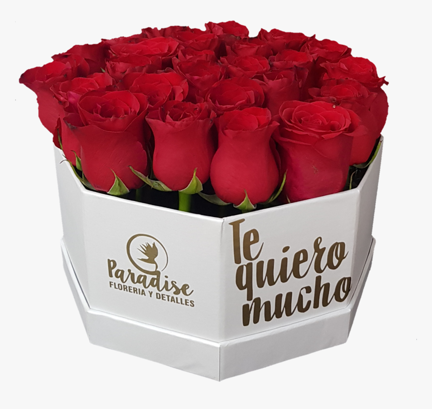 Caja De Rosa Roja C-19 - Garden Roses, HD Png Download