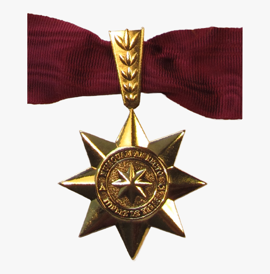 Transparent Estrella Dorada Png - Medallas De Honor En Artes Marciales, Png Download