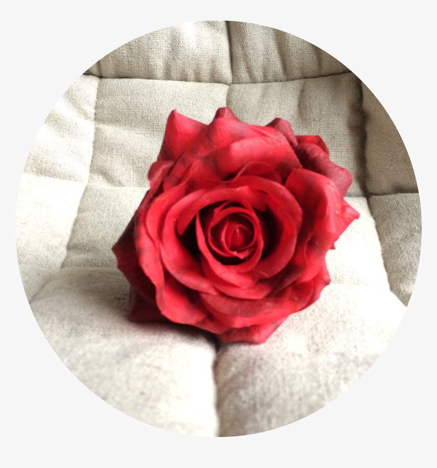 Rosa Roja Tacto Natural , Png Download - Rosa Natural Png, Transparent Png