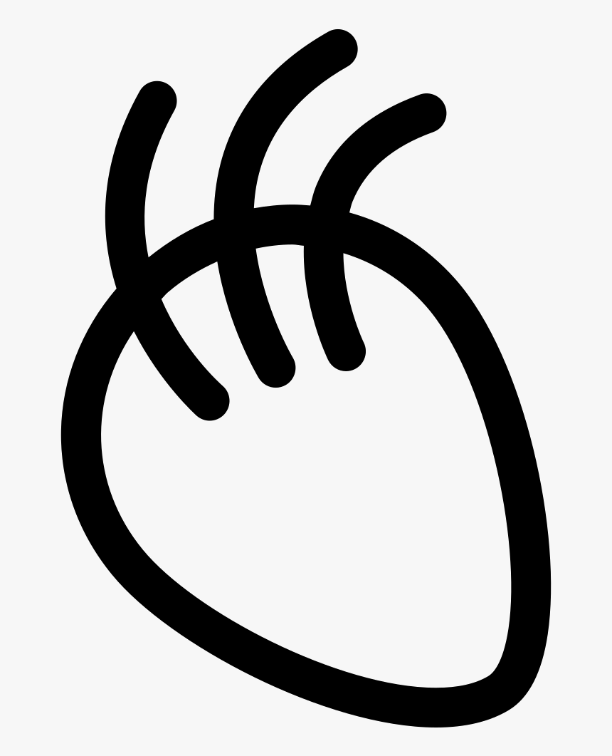 Body Part With Lines, HD Png Download