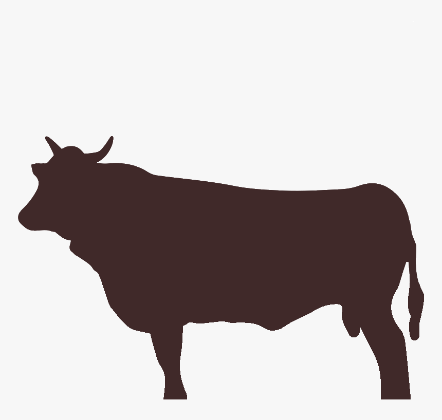 Dairy Cow Clipart , Png Download - Bull, Transparent Png