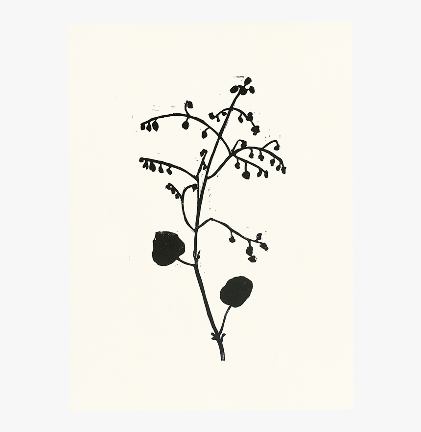 Twig, HD Png Download