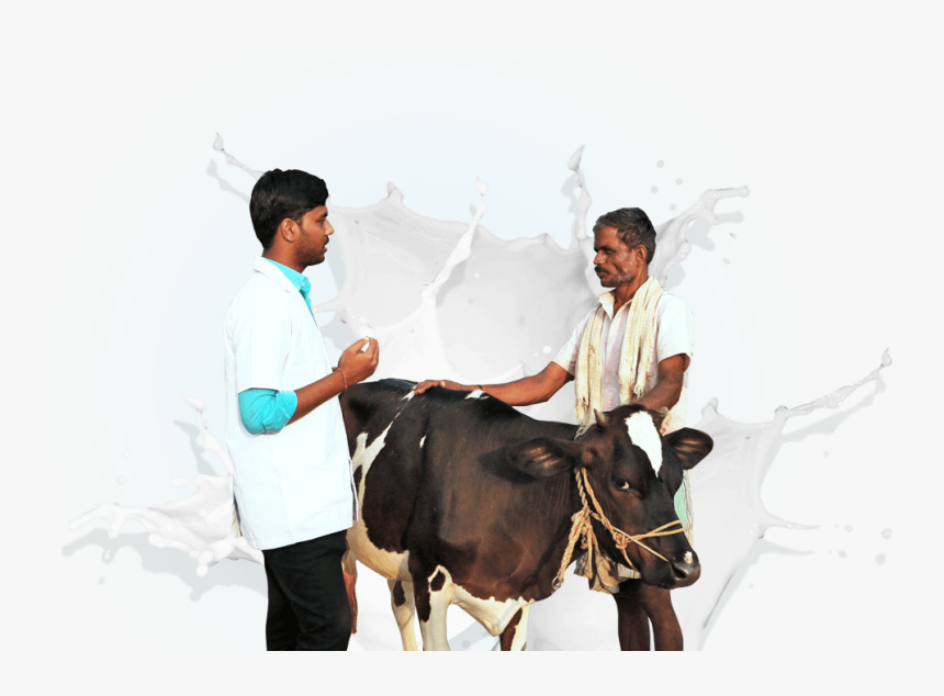 Dairy Cow Png -right Side Image - Dairy Farmers In India, Transparent Png