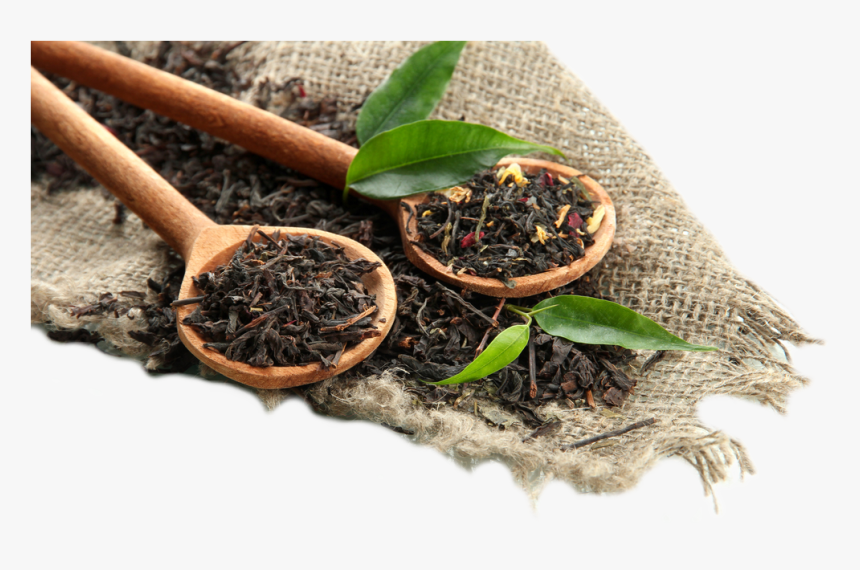 Tobacco Plant Png, Transparent Png