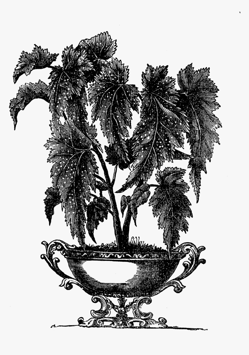 Hu - Victorian Indoor Plant Pot, HD Png Download