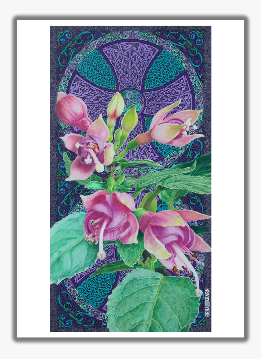 My Souls Confidant Fuschias Greeting Card - Rosa Glauca, HD Png Download