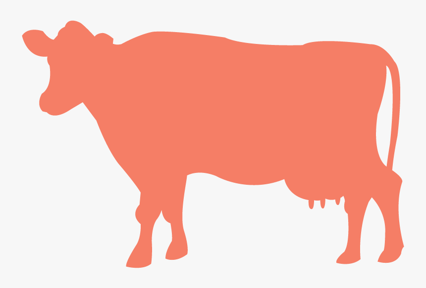 F F Cow - Dairy Cow, HD Png Download