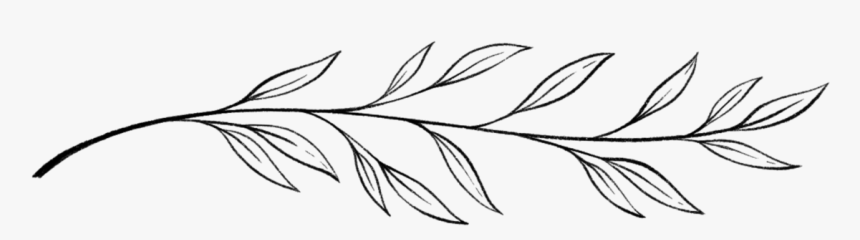 Line Art, HD Png Download