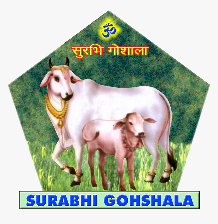 Dairy Cow , Png Download - Dairy Cow, Transparent Png