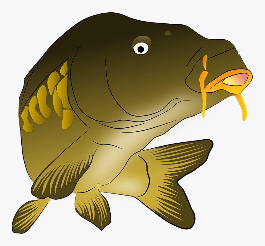 Clip Art, HD Png Download