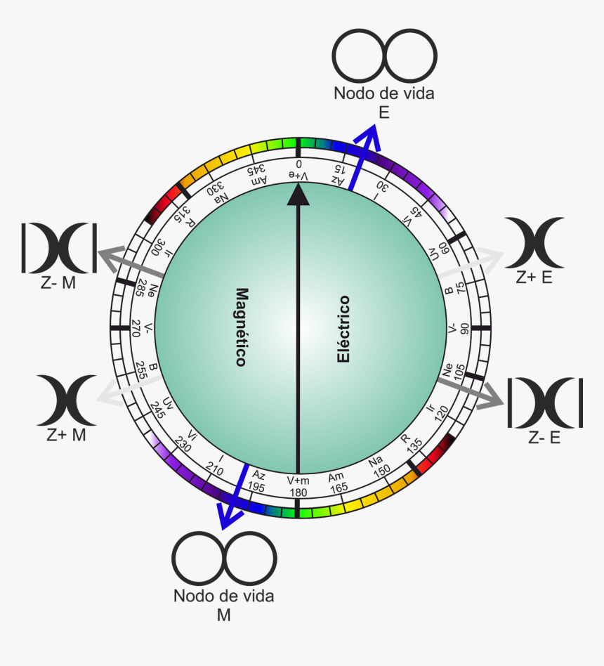 Ondas De Colores Png, Transparent Png