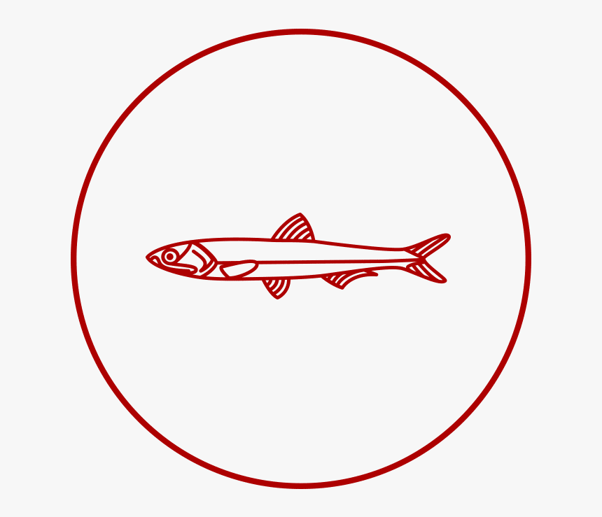 Calidad Que Ni Amarga Ni Resta Sabor Al Pescado Clipart - Constituents, HD Png Download