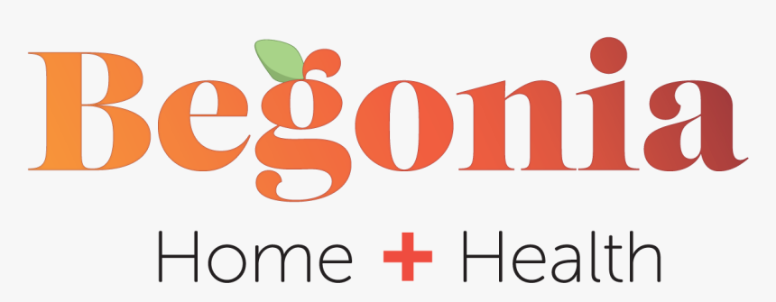 Begonia Png, Transparent Png