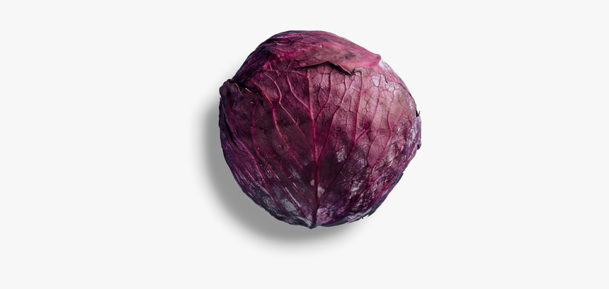 Red Cabbage, HD Png Download