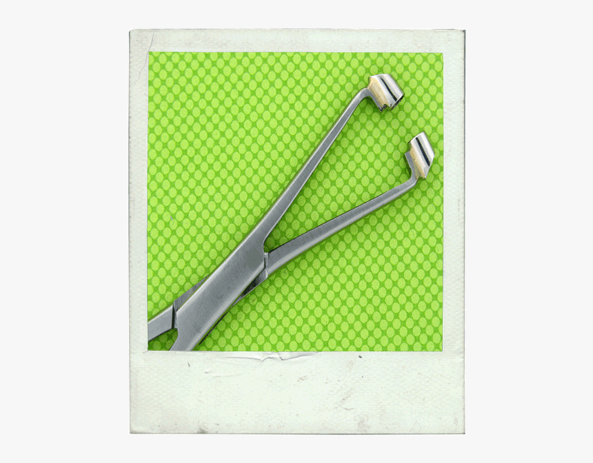 Poliform Dama Rug, HD Png Download