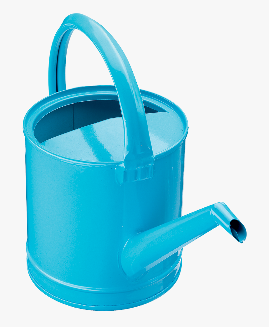 Begonia Png, Transparent Png