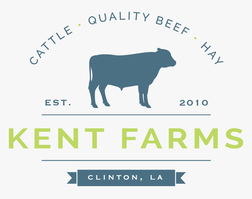 Dairy Cow, HD Png Download