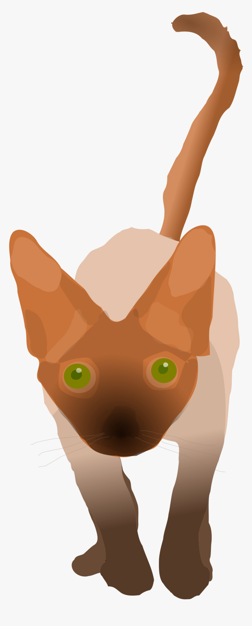 T-shirt Devon Rex Neckline Clip Art - Devon Rex, HD Png Download