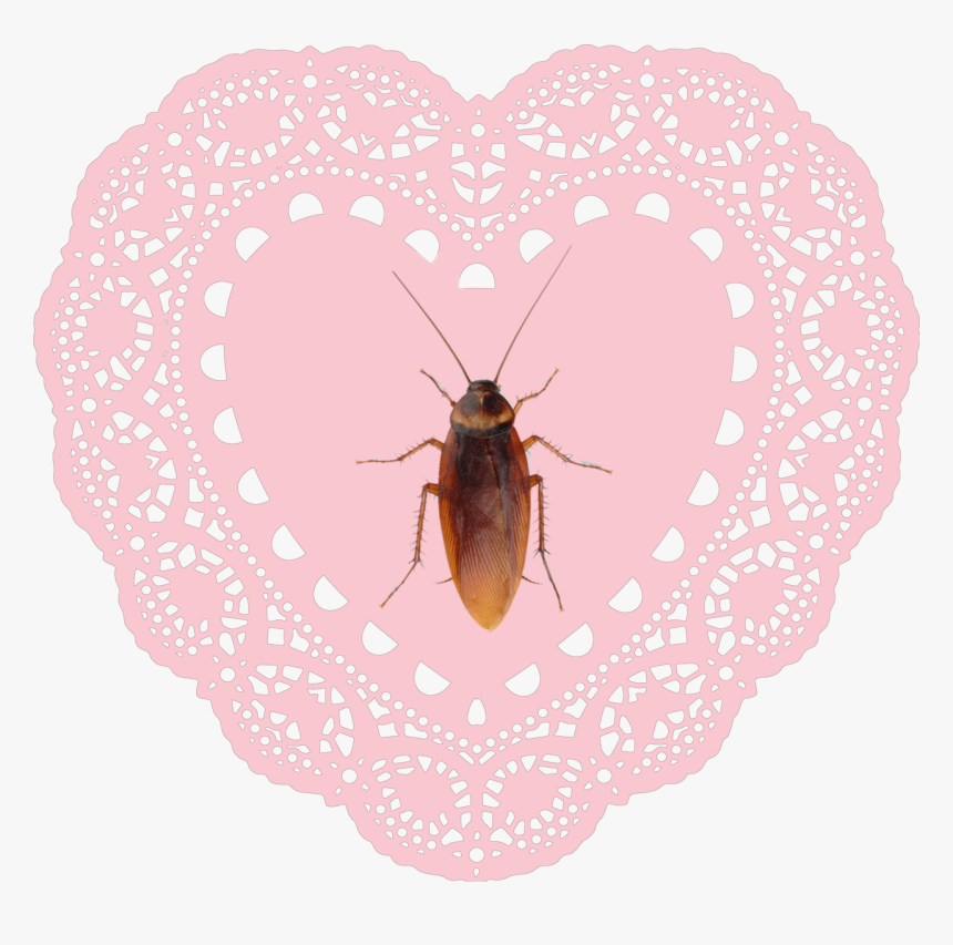 #heart #hearts #pink #encaje #cucaracha #crybaby #cute - Heart Lace Doily Png, Transparent Png