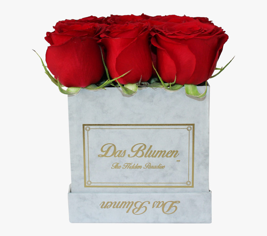 Garden Roses, HD Png Download