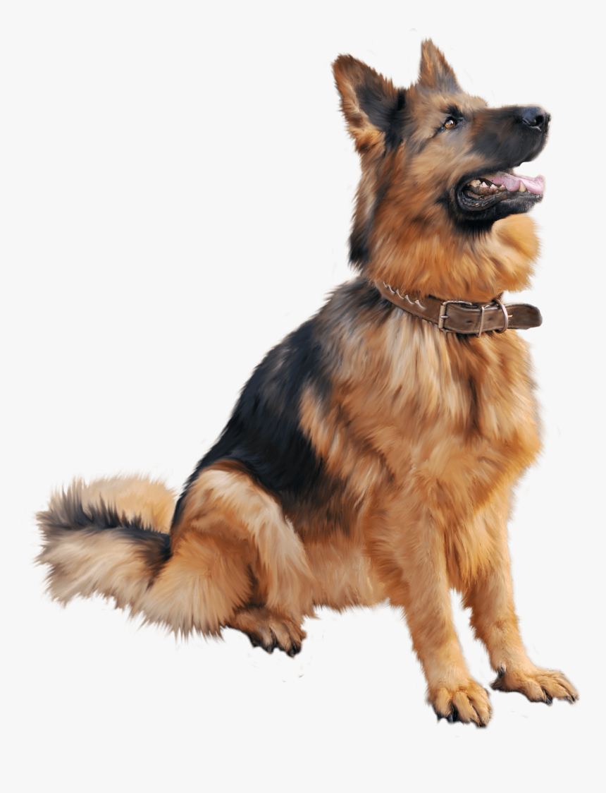 Cutest Dog Sitting Png Image, Transparent Png