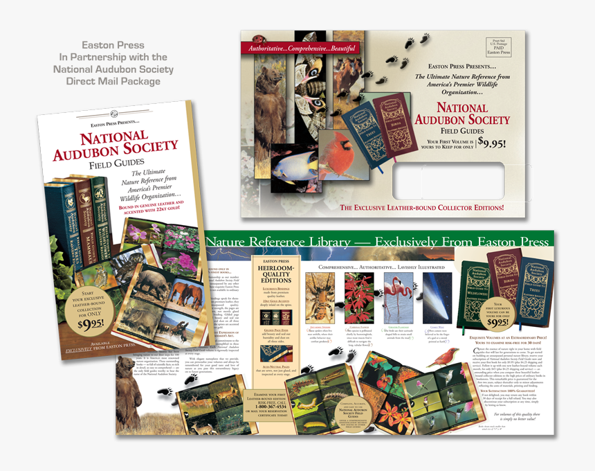 Flyer, HD Png Download