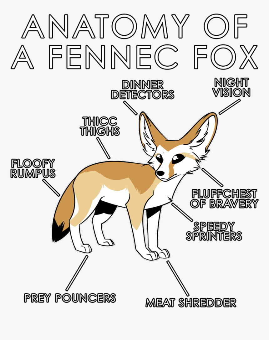 Red Fox, HD Png Download