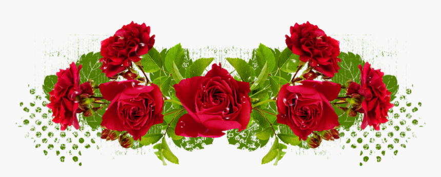 Tube Roses Rouges - Floribunda, HD Png Download