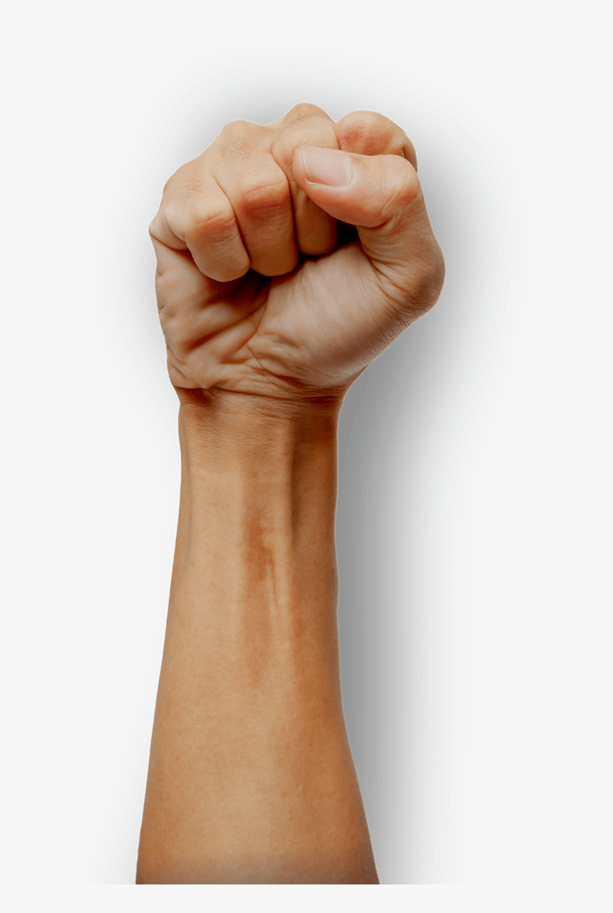 Wood, HD Png Download