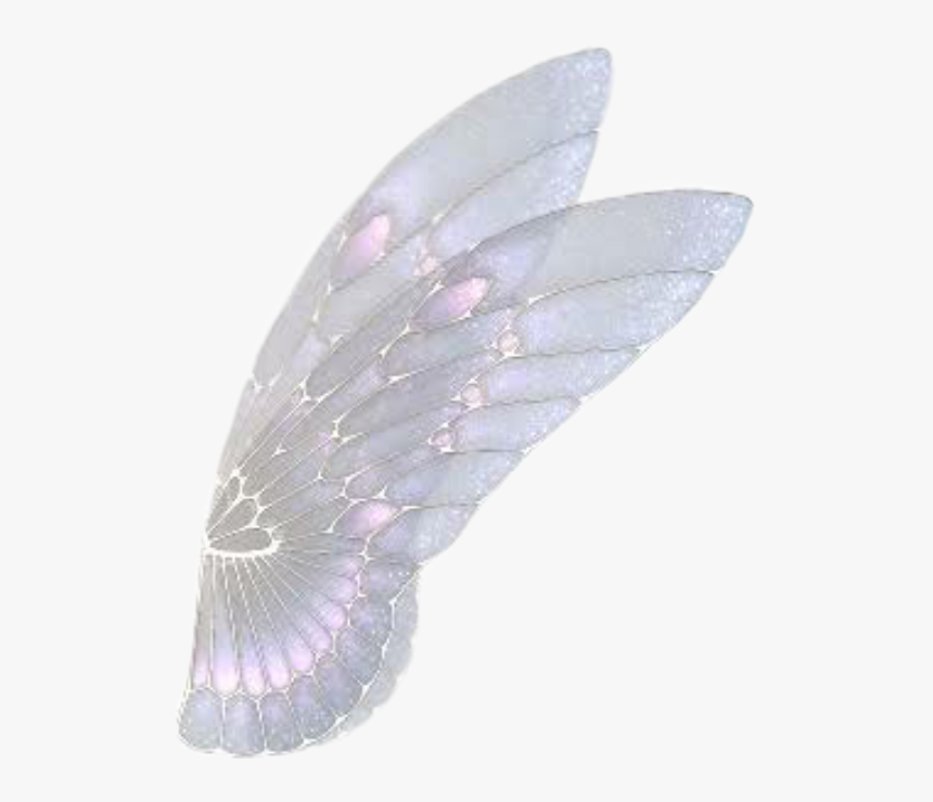 #borboleta #tumblr #asa #anjo - Asas De Fada Em Png, Transparent Png