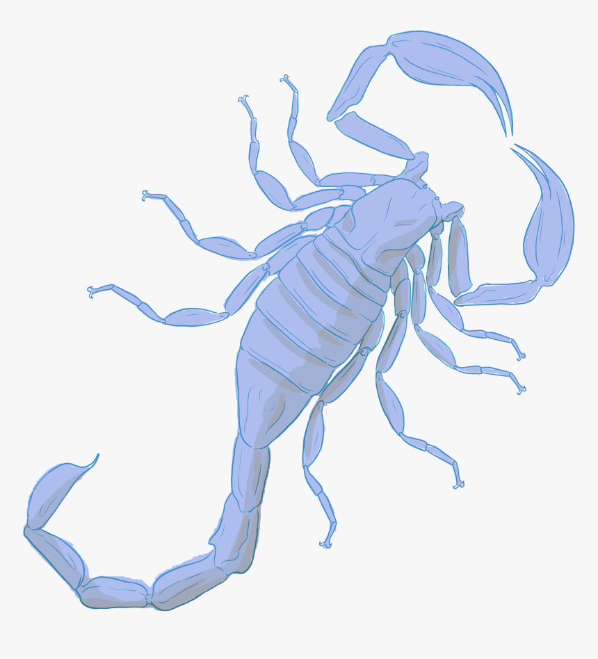 6 Point Star Png, Transparent Png