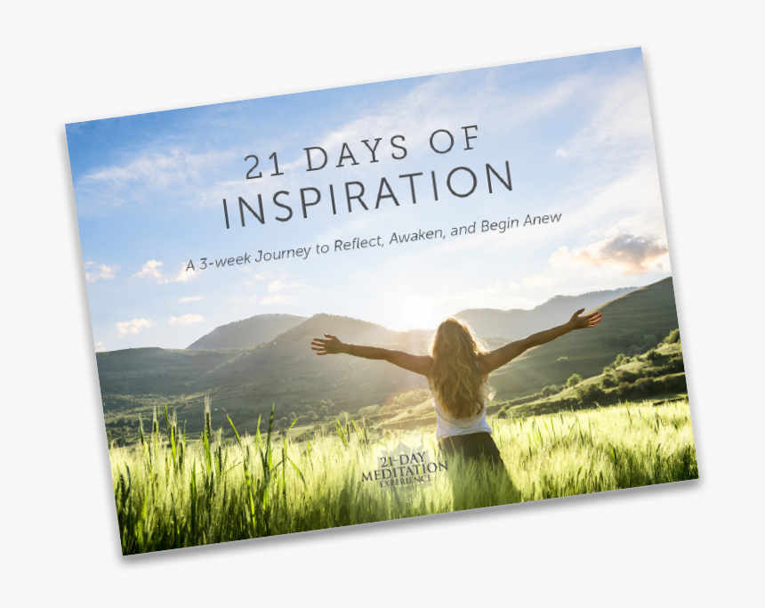 Transparent Prairie Grass Png - Quien Beneficia El Sol, Png Download