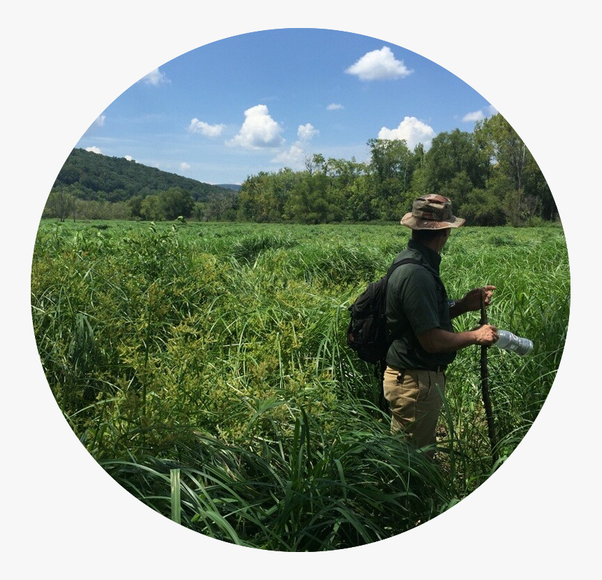 Field, HD Png Download