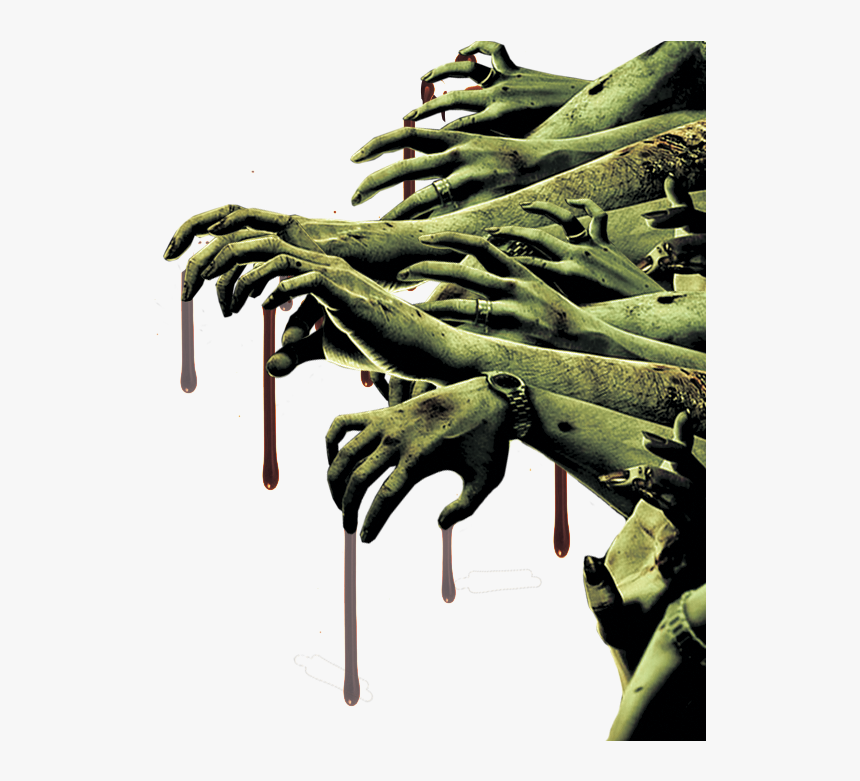 Wood, HD Png Download