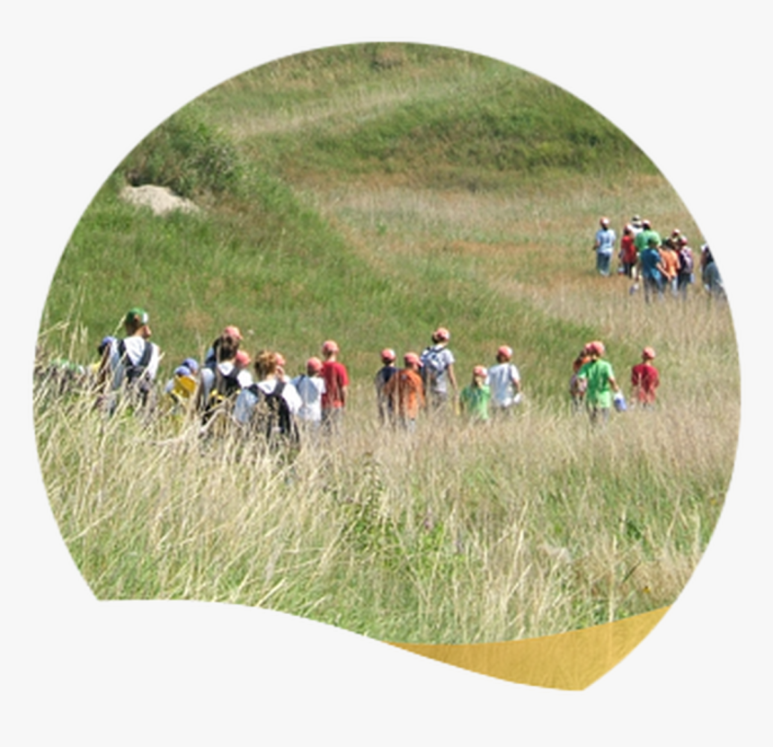 Grassland, HD Png Download