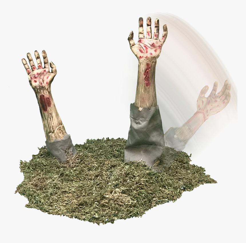 Arm Coming Out Of The Ground Transparent Hd Png Download Transparent Png Image Pngitem