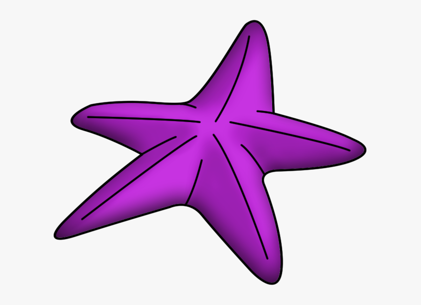 Estrellas De Mar Lila 48qi - Estrella De Mar De La Sirenita, HD Png Download