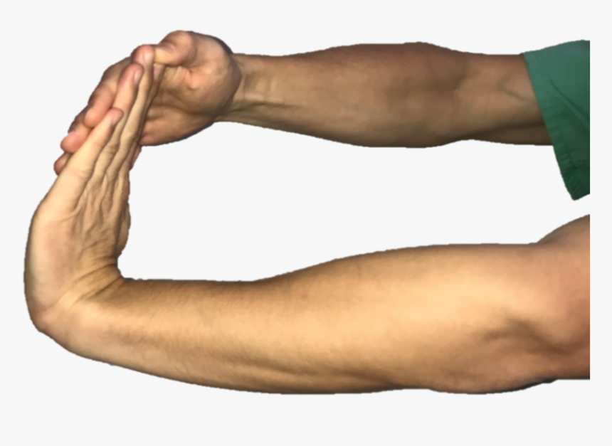 With Your Elbow Straight And Palm Facing The Floor, - Palm And Elbow, HD Png Download