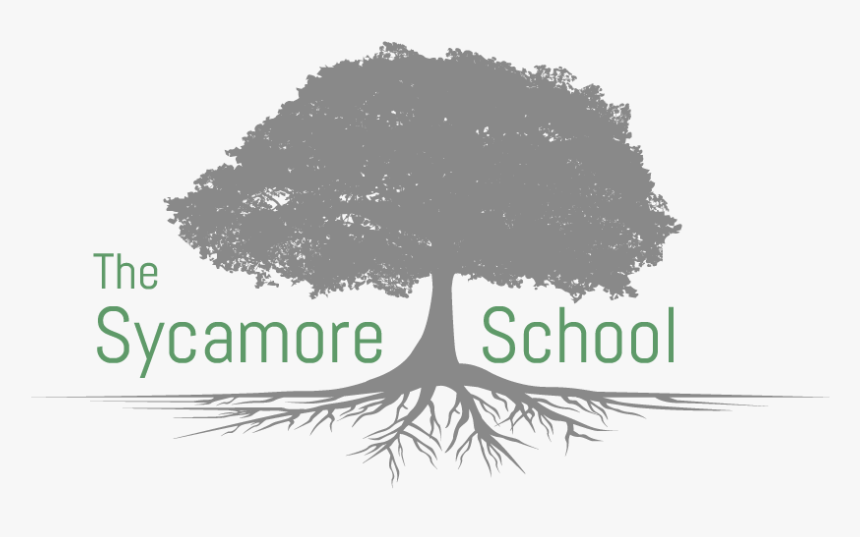 White Pine , Png Download - White Pine, Transparent Png