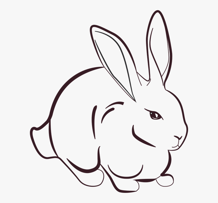 Rabbit Line Art, HD Png Download