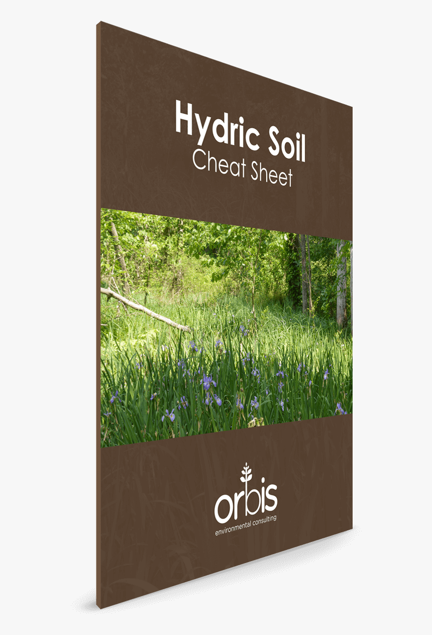 Hydric Soil Cheat Sheet - Sign, HD Png Download