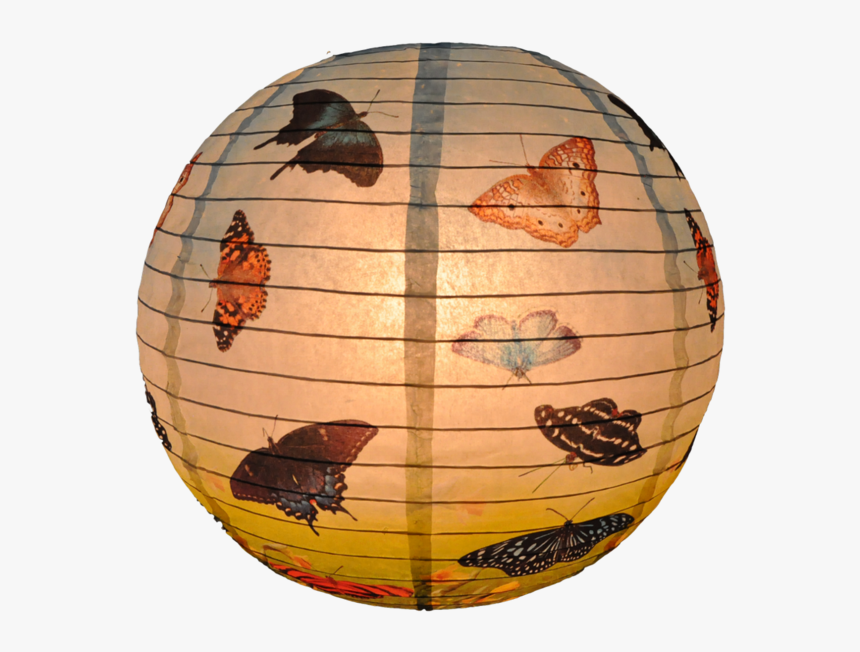 Insect, HD Png Download